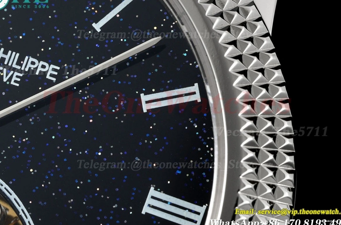 Sky Dial 42mm SS Complications Tourb RMSF LE Starry 0420